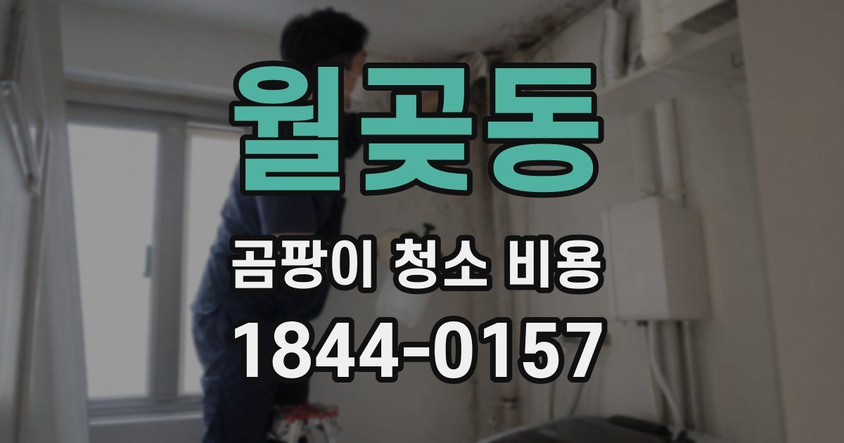 월곶동 곰팡이 청소 비용