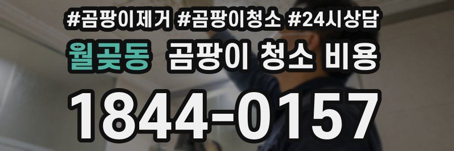 월곶동 곰팡이 청소 비용