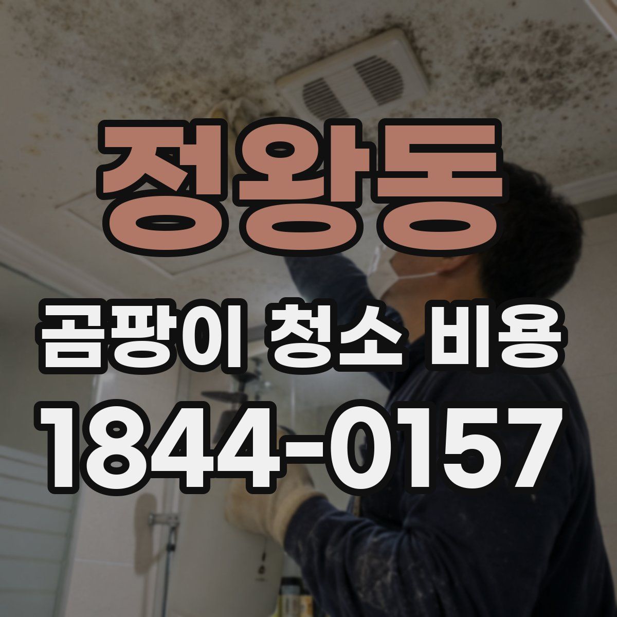 정왕동 곰팡이 청소 비용