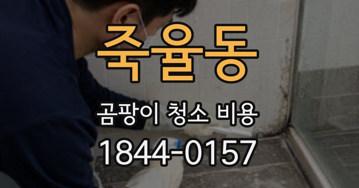 죽율동 곰팡이 청소 비용