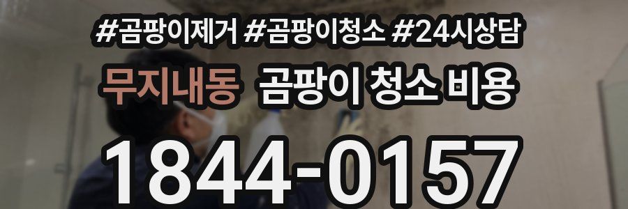 무지내동 곰팡이 청소 비용