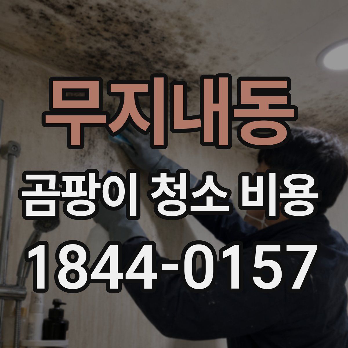무지내동 곰팡이 청소 비용