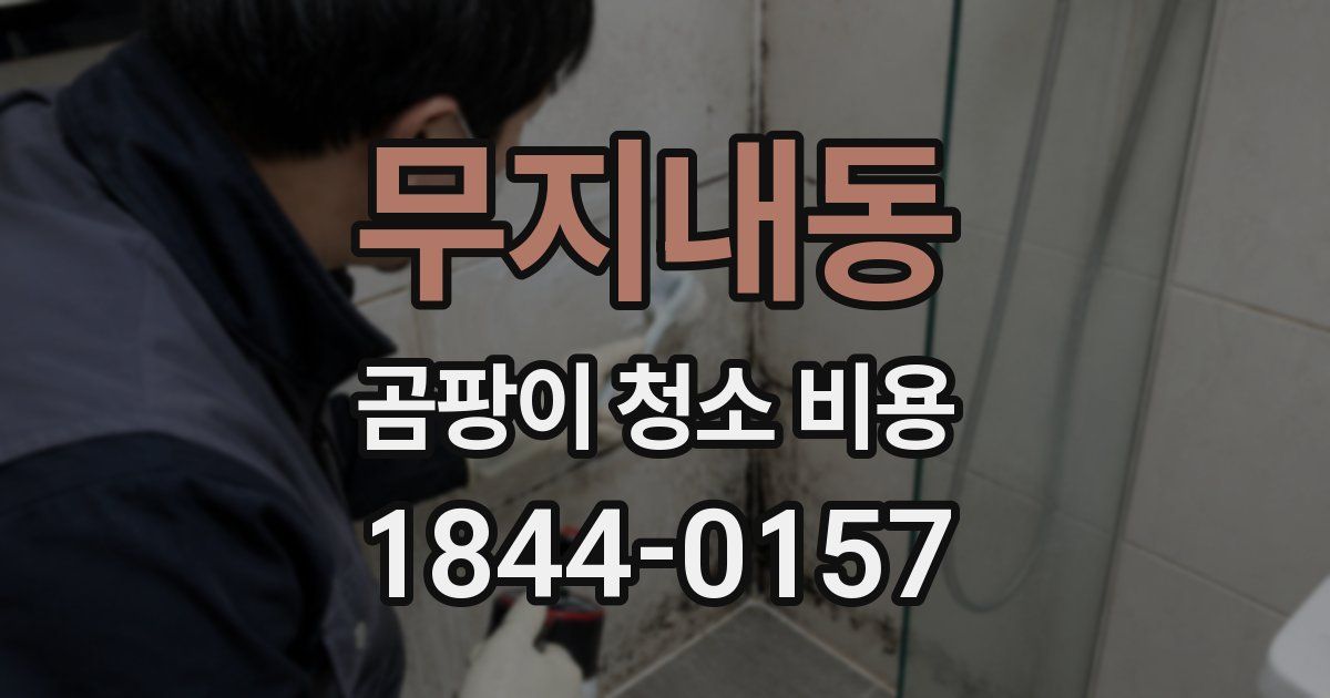 무지내동 곰팡이 청소 비용