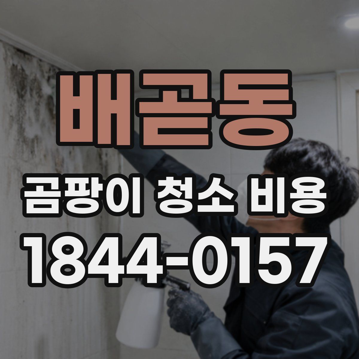 배곧동 곰팡이 청소 비용