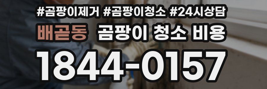 배곧동 곰팡이 청소 비용
