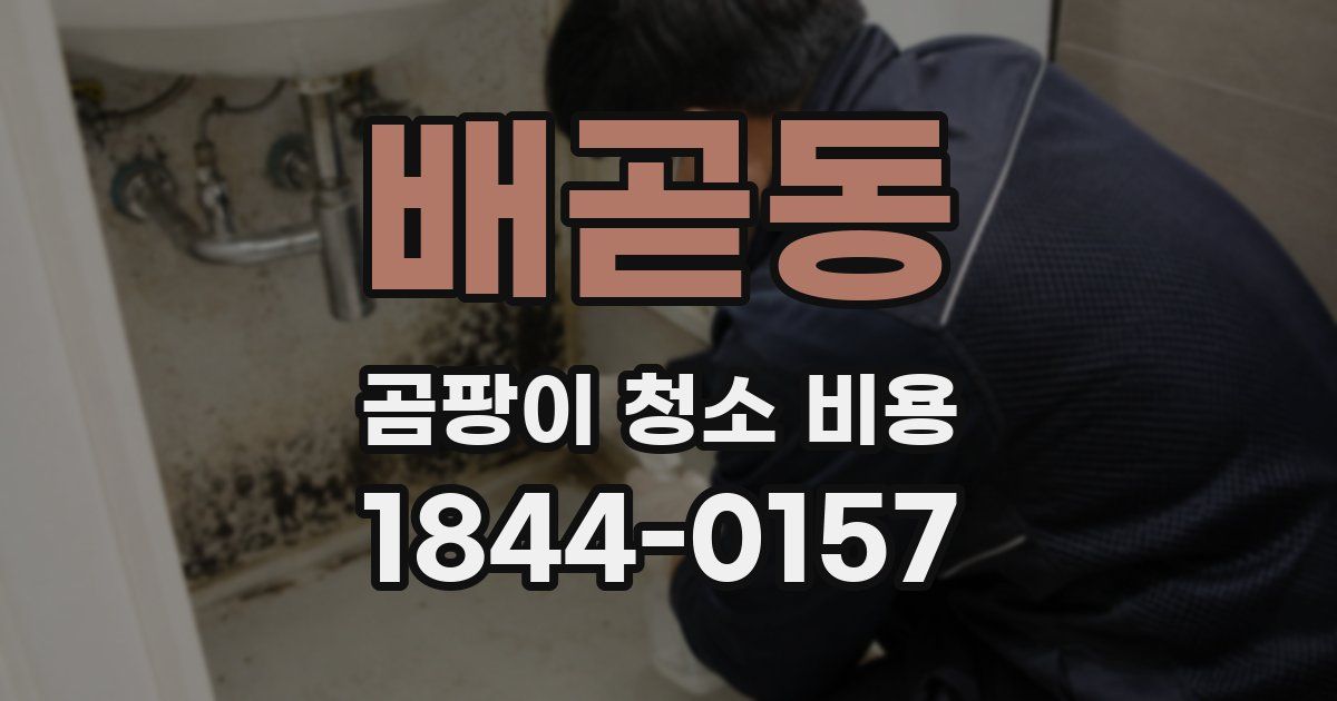 배곧동 곰팡이 청소 비용