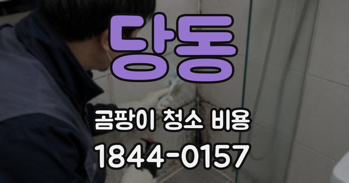당동 곰팡이 청소 비용