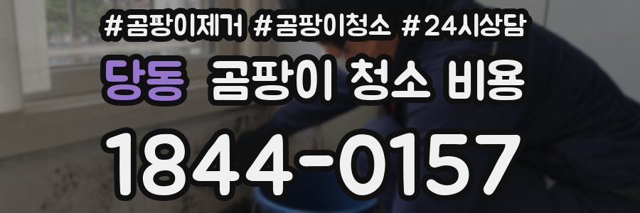 당동 곰팡이 청소 비용
