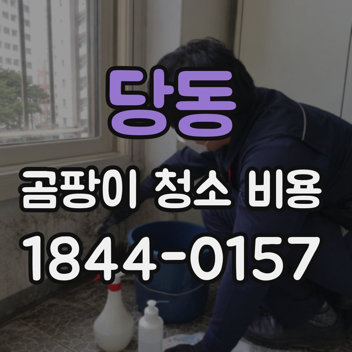당동 곰팡이 청소 비용