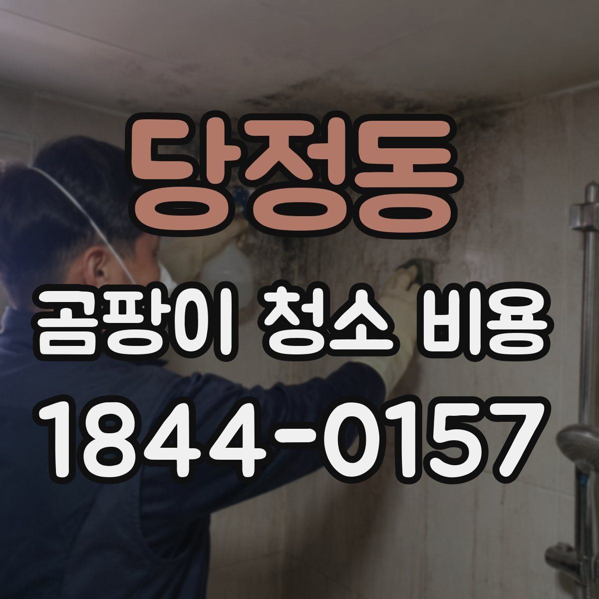 당정동 곰팡이 청소 비용