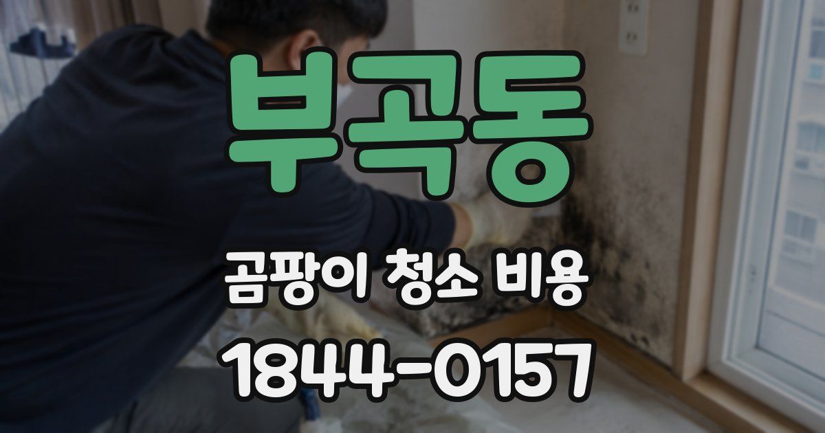 부곡동 곰팡이 청소 비용