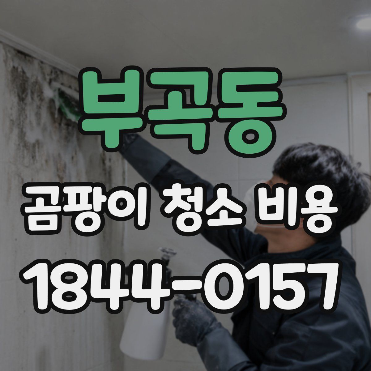 부곡동 곰팡이 청소 비용