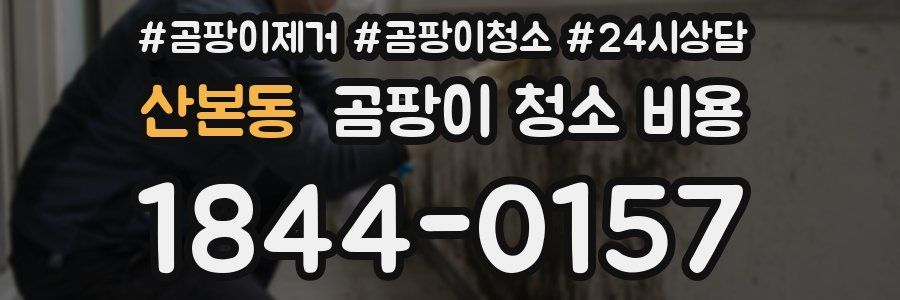 산본동 곰팡이 청소 비용