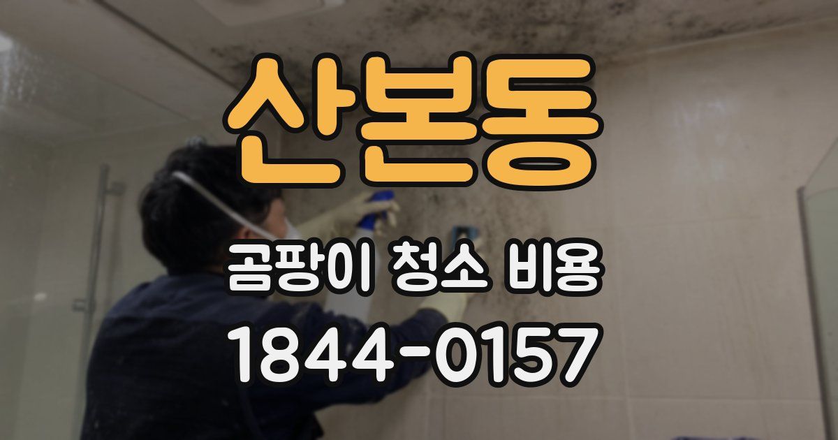 산본동 곰팡이 청소 비용