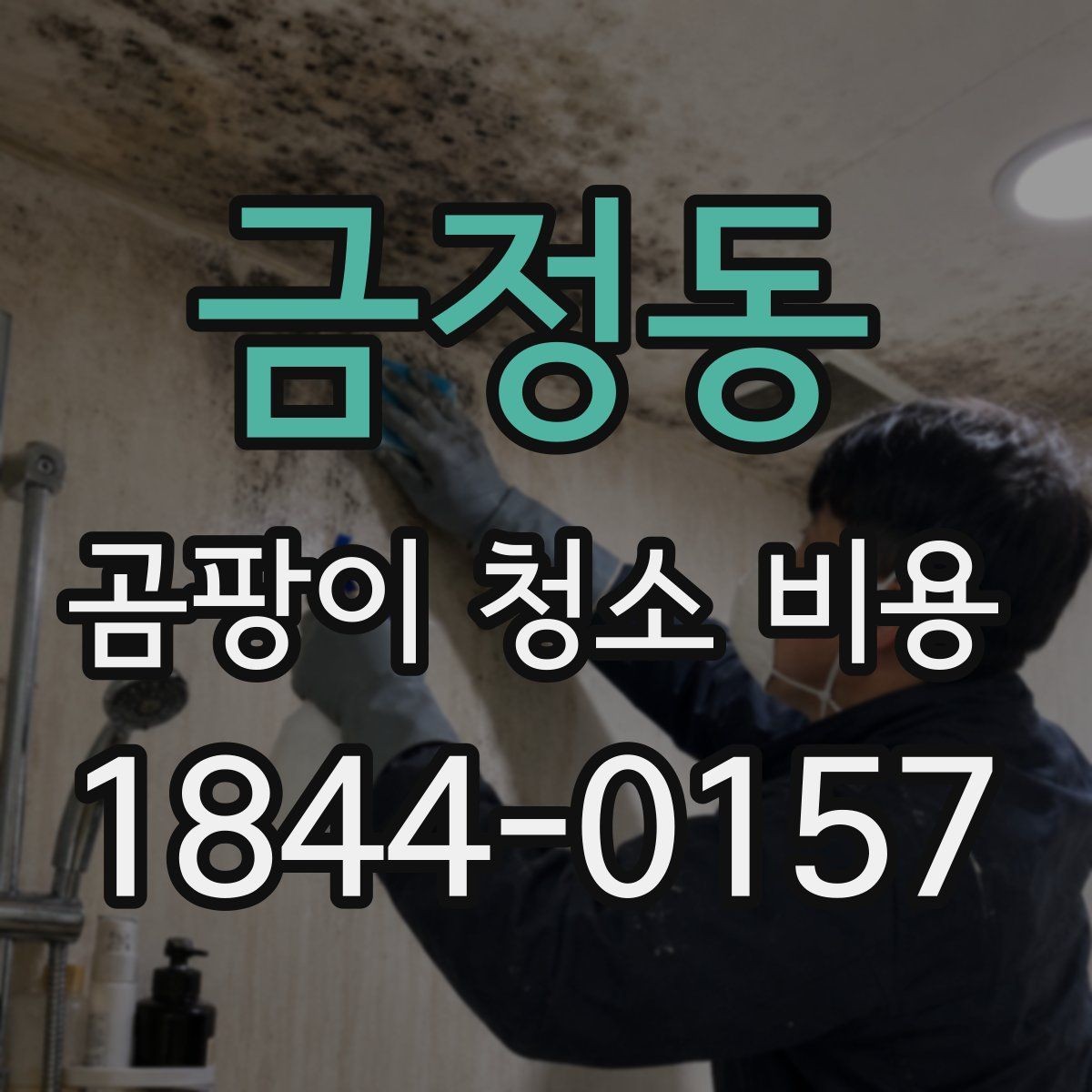 금정동 곰팡이 청소 비용 산정할 때 작업 범위가 달라지는 이유