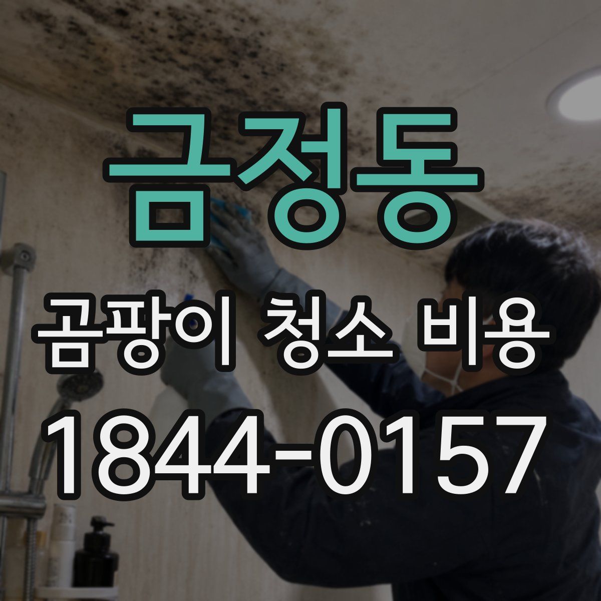 금정동 곰팡이 청소 비용