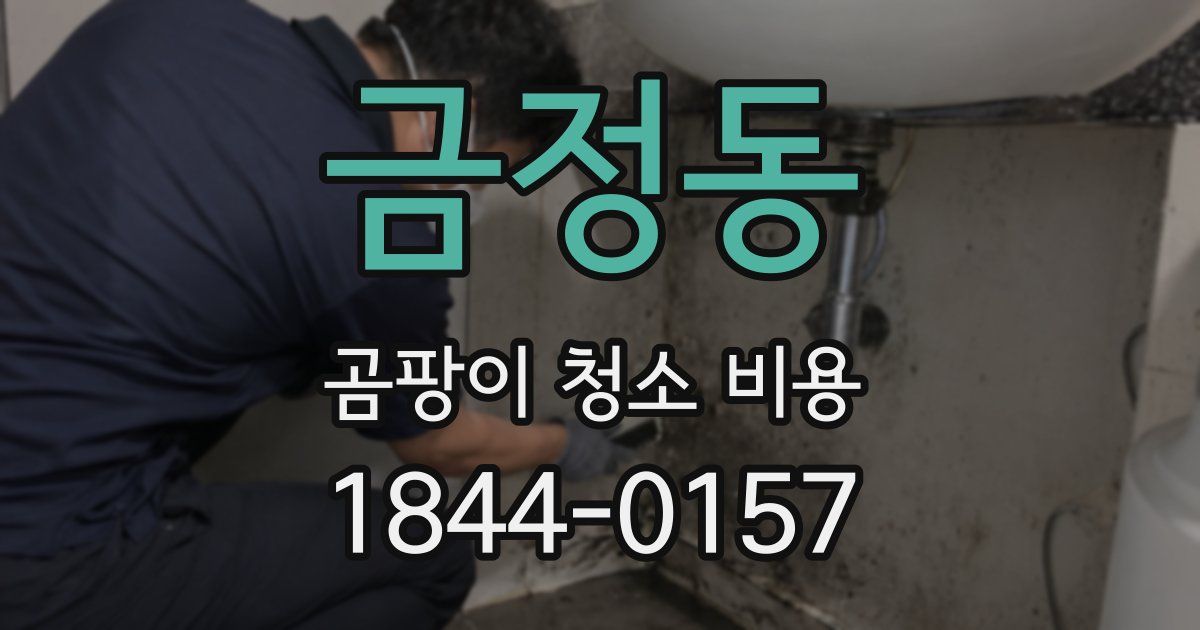 금정동 곰팡이 청소 비용