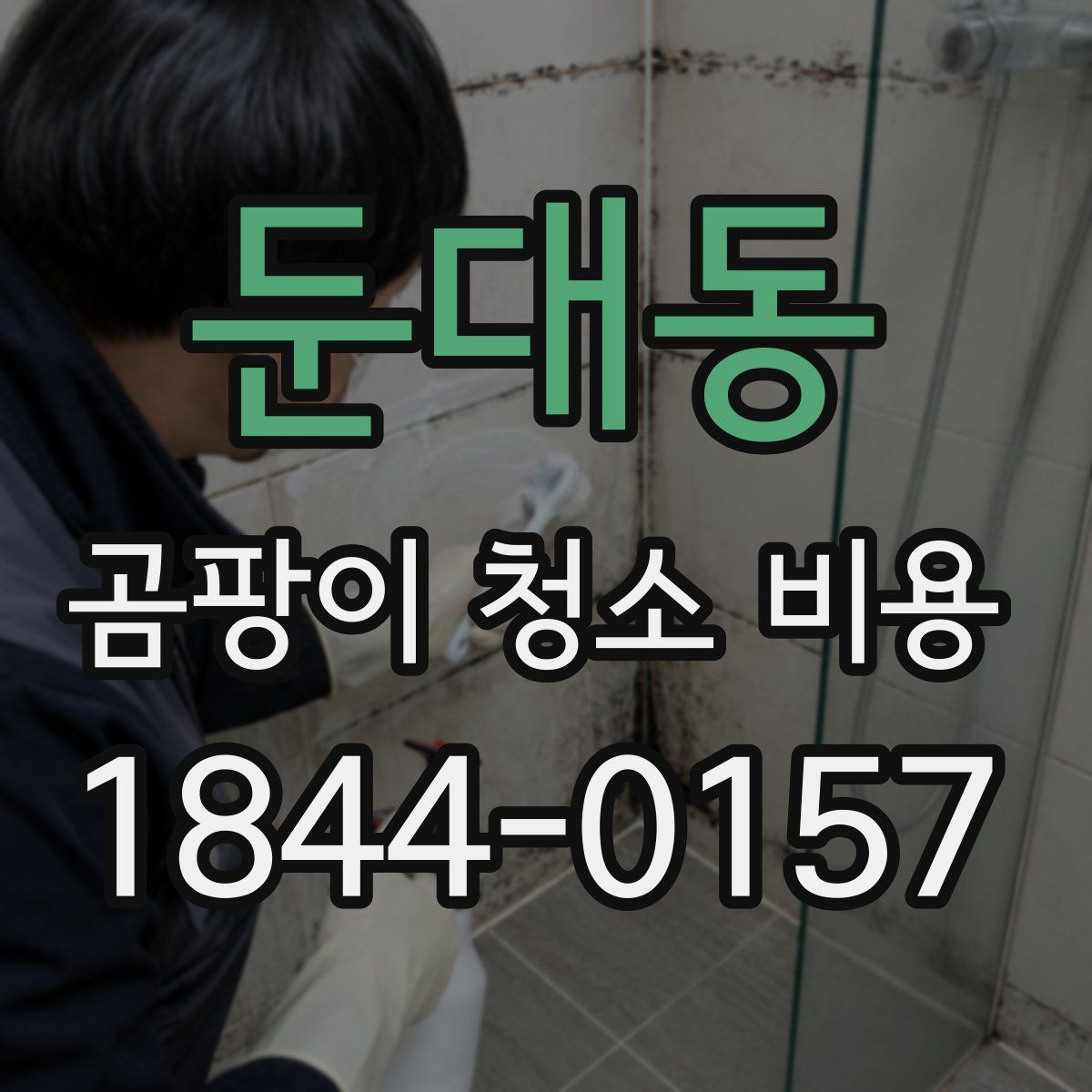 둔대동 곰팡이 청소 비용