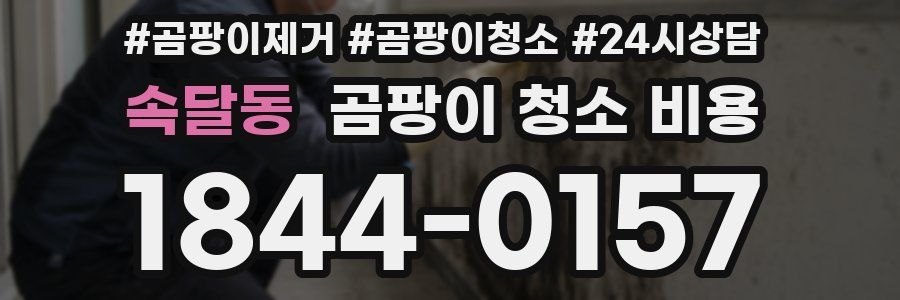 속달동 곰팡이 청소 비용