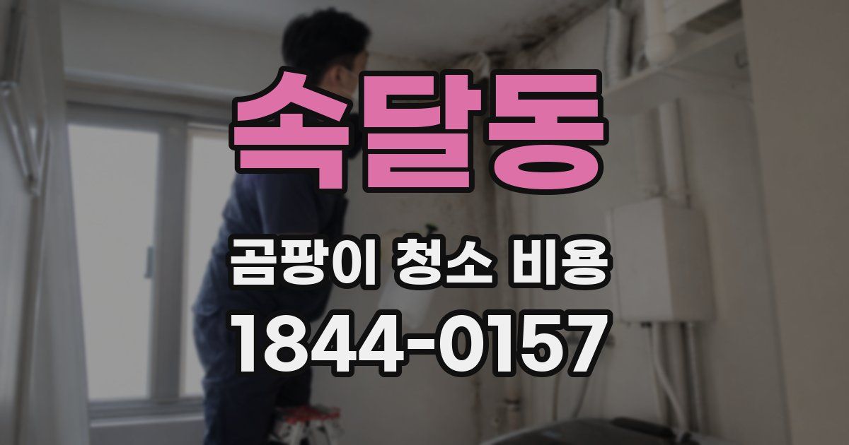 속달동 곰팡이 청소 비용