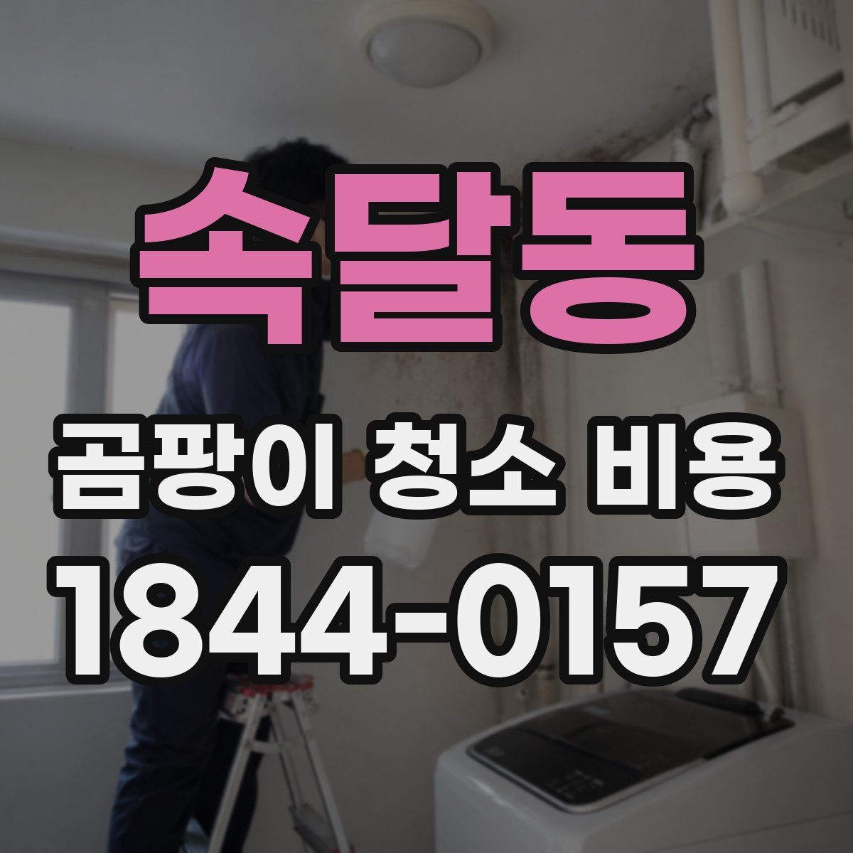 속달동 곰팡이 청소 비용