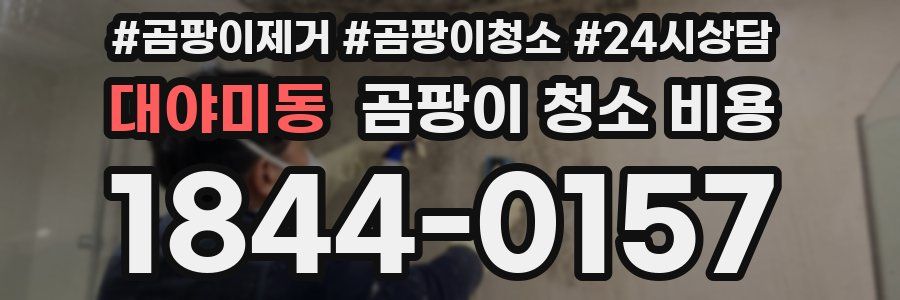 대야미동 곰팡이 청소 비용