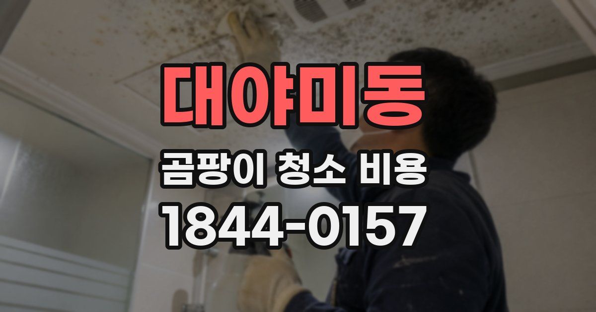 대야미동 곰팡이 청소 비용
