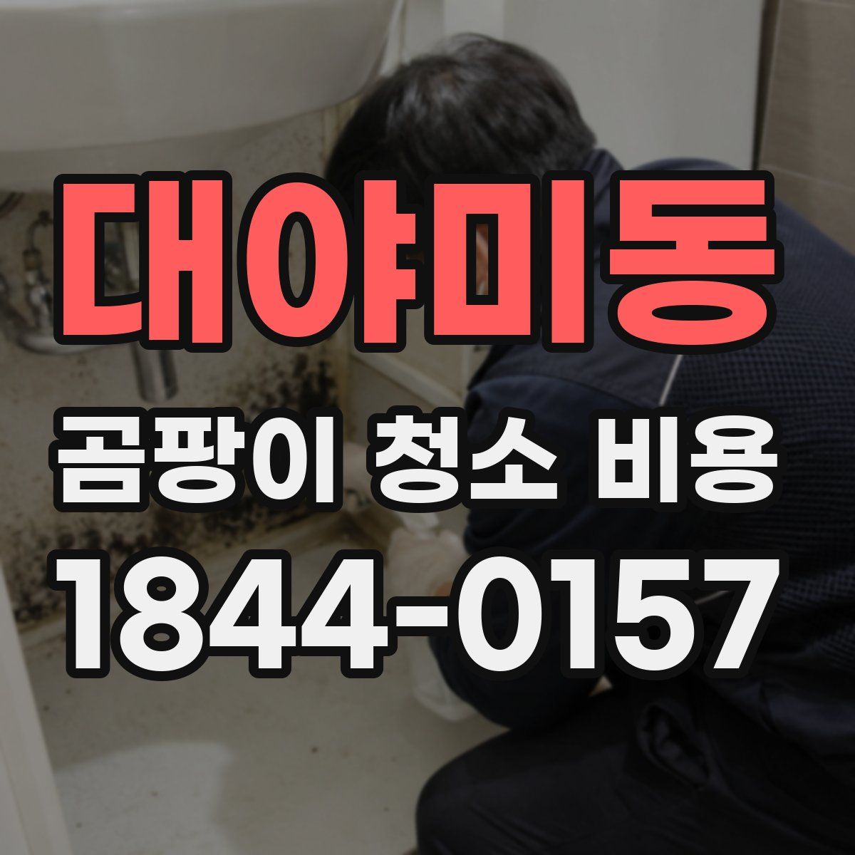 대야미동 곰팡이 청소 비용