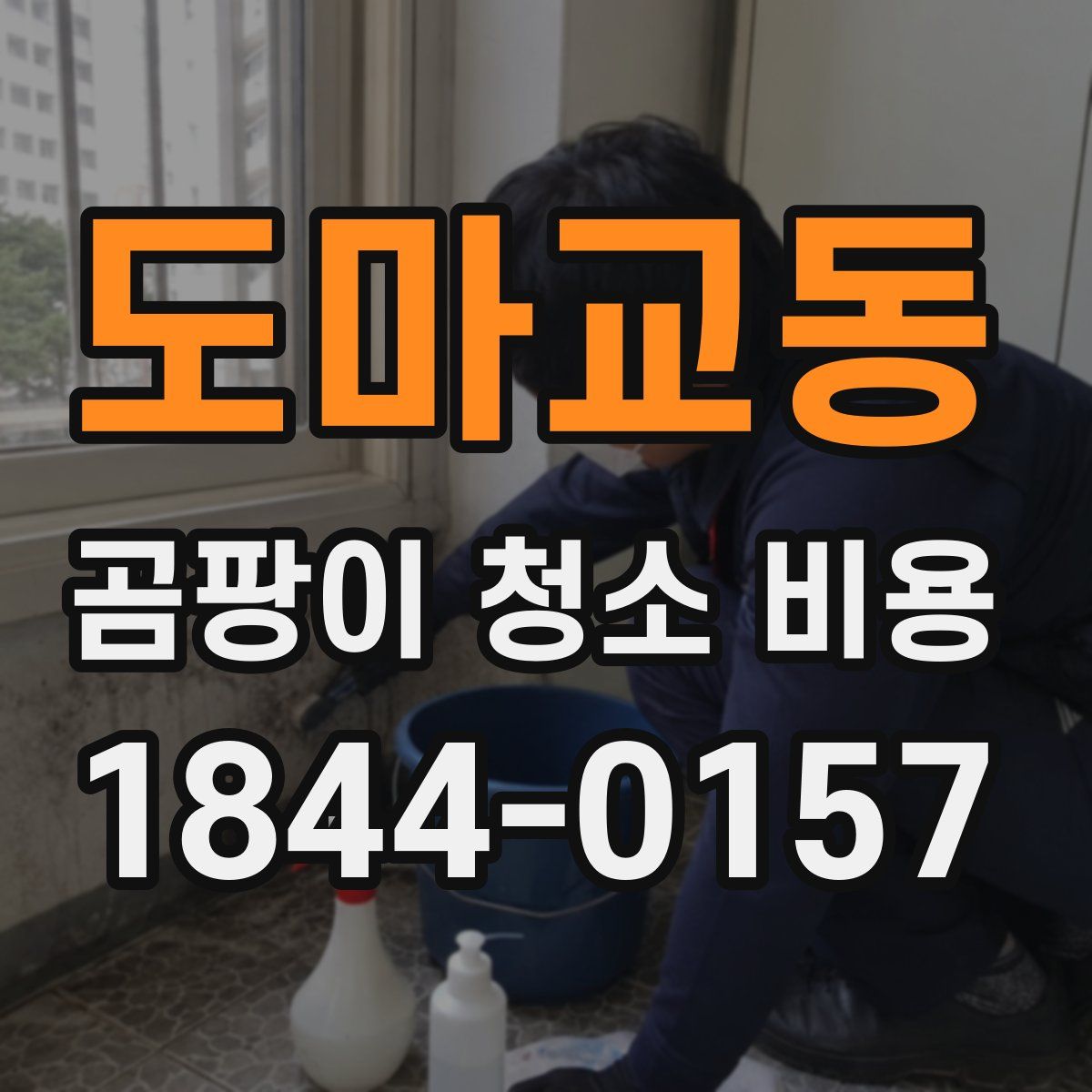 도마교동 곰팡이 청소 비용