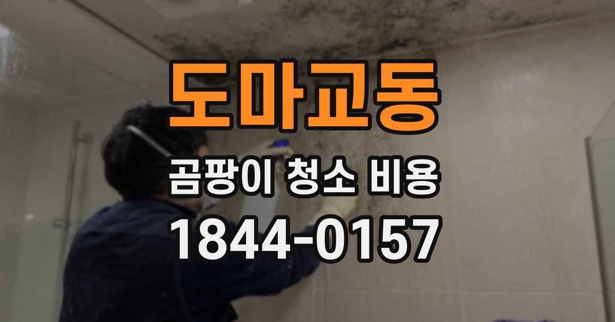 도마교동 곰팡이 청소 비용