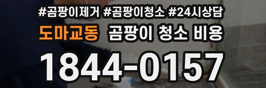 도마교동 곰팡이 청소 비용