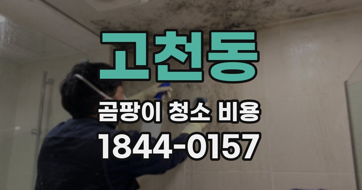 고천동 곰팡이 청소 비용