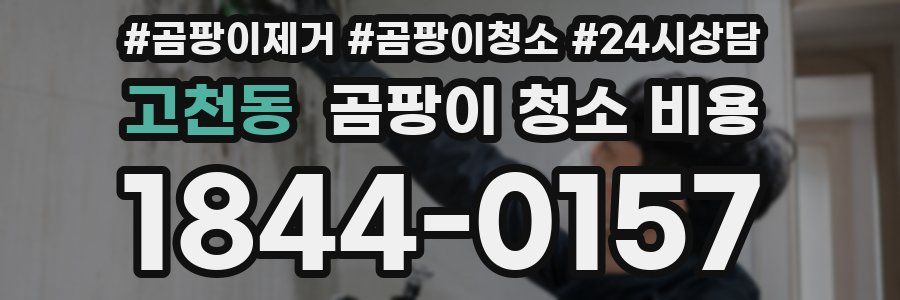 고천동 곰팡이 청소 비용