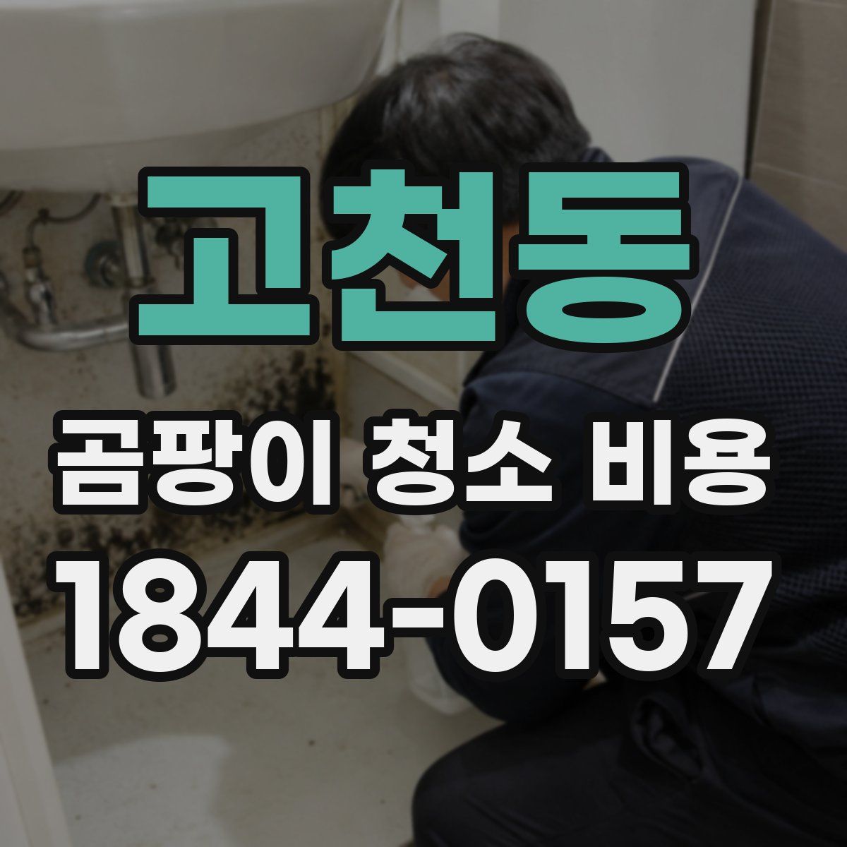 고천동 곰팡이 청소 비용