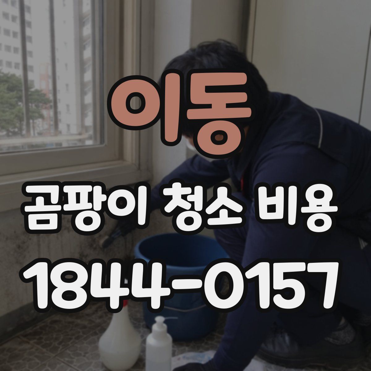 이동 곰팡이 청소 비용