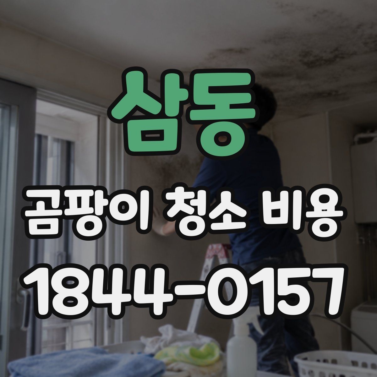 삼동 곰팡이 청소 비용