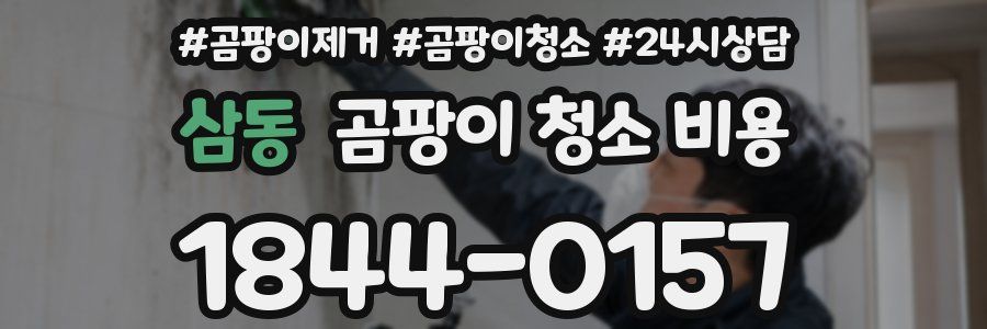 삼동 곰팡이 청소 비용