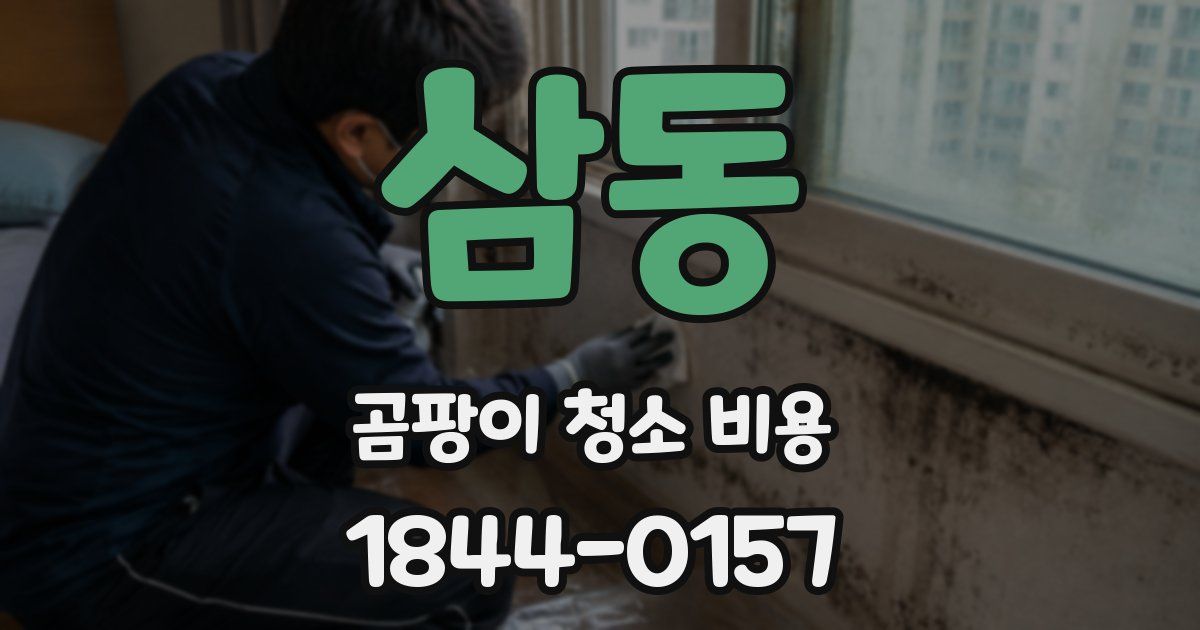 삼동 곰팡이 청소 비용