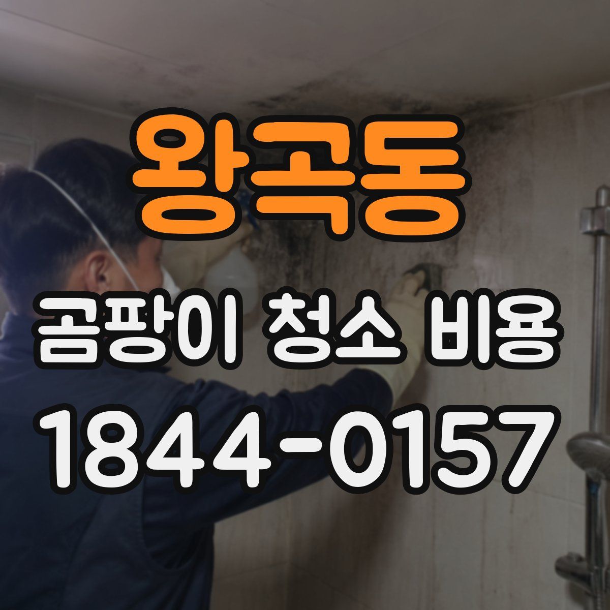 왕곡동 곰팡이 청소 비용