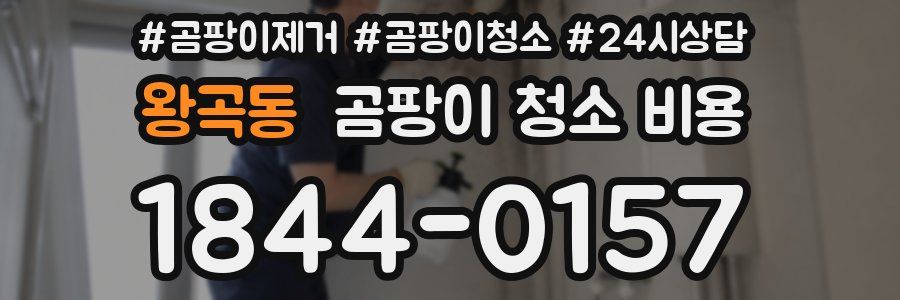 왕곡동 곰팡이 청소 비용