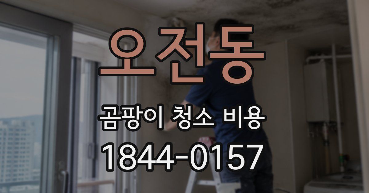 오전동 곰팡이 청소 비용