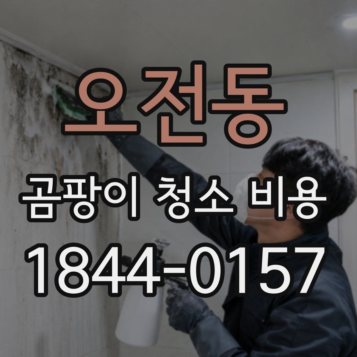 오전동 곰팡이 청소 비용
