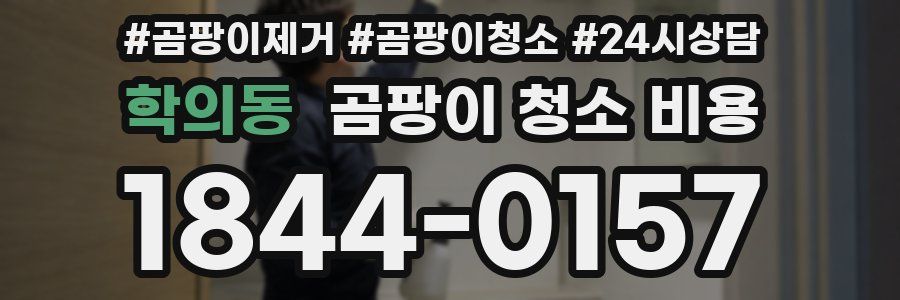 학의동 곰팡이 청소 비용