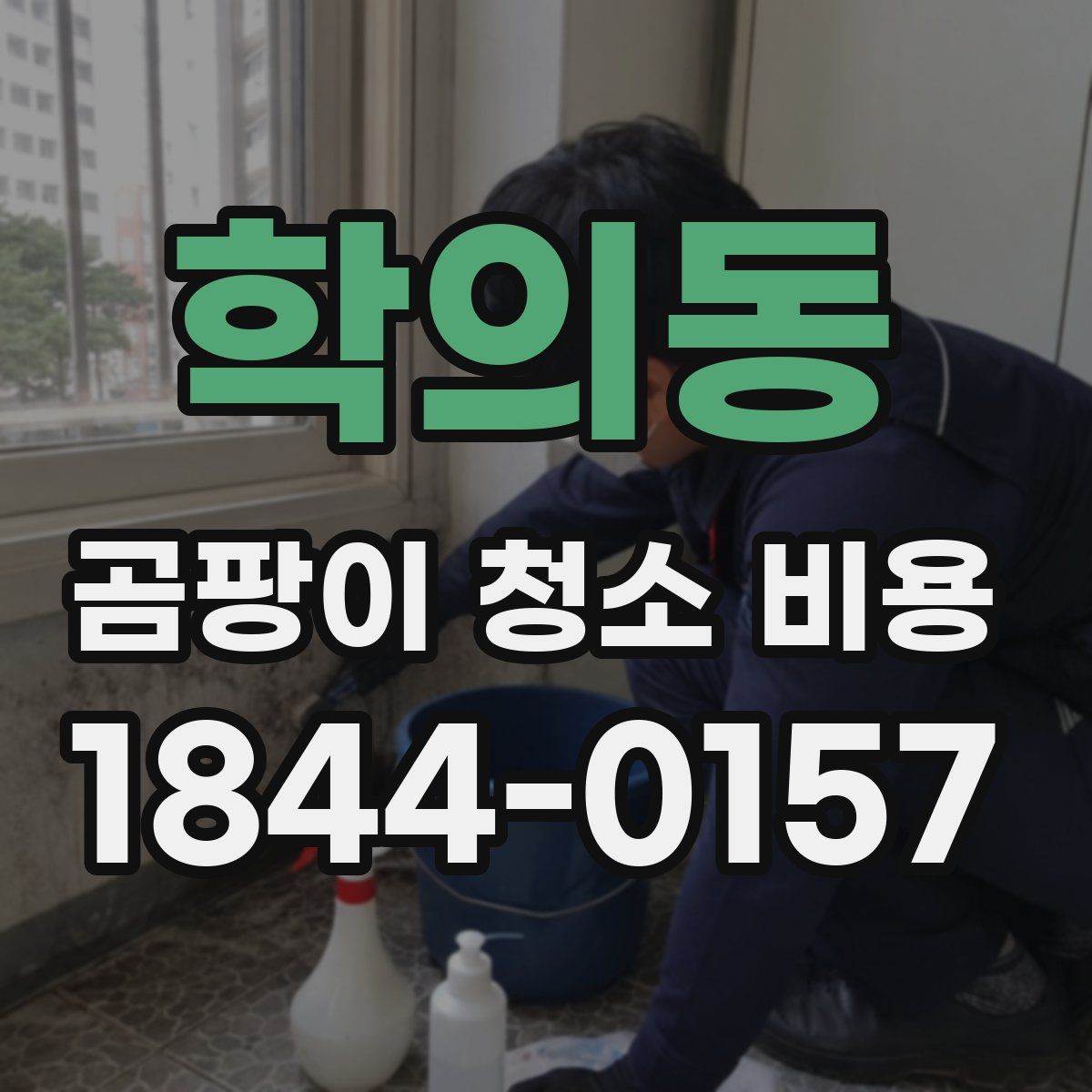 학의동 곰팡이 청소 비용