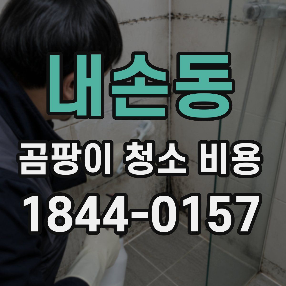 내손동 곰팡이 청소 비용