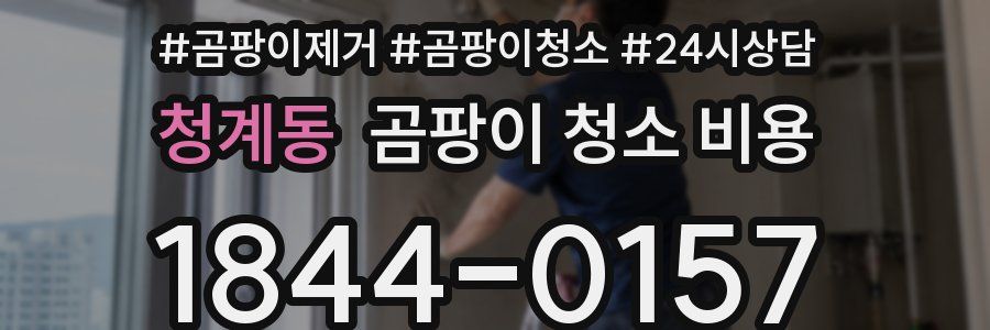 청계동 곰팡이 청소 비용