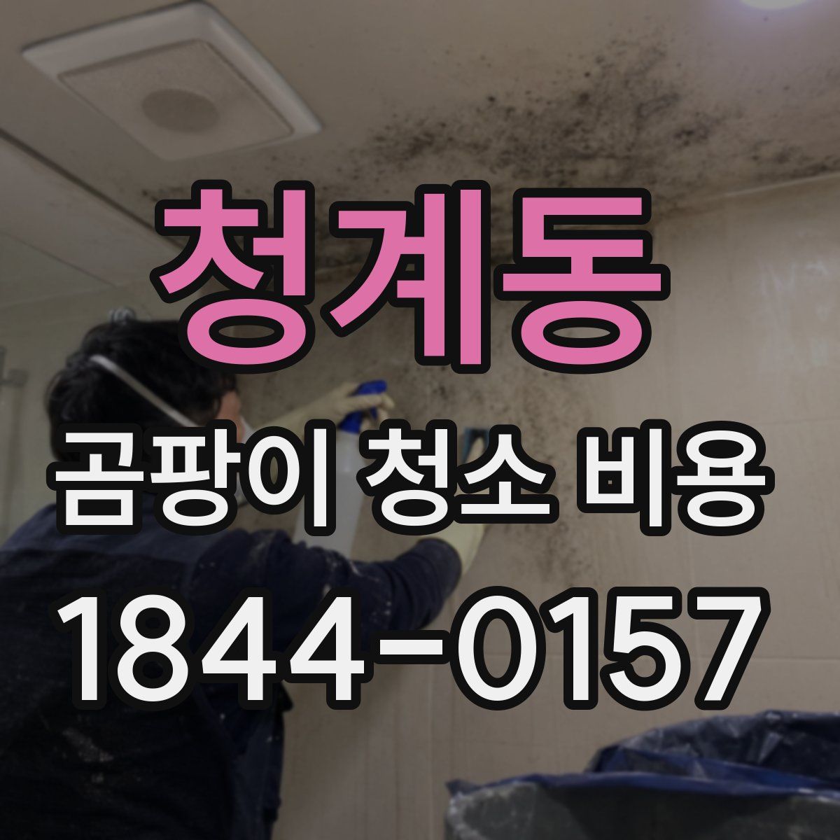 청계동 곰팡이 청소 비용