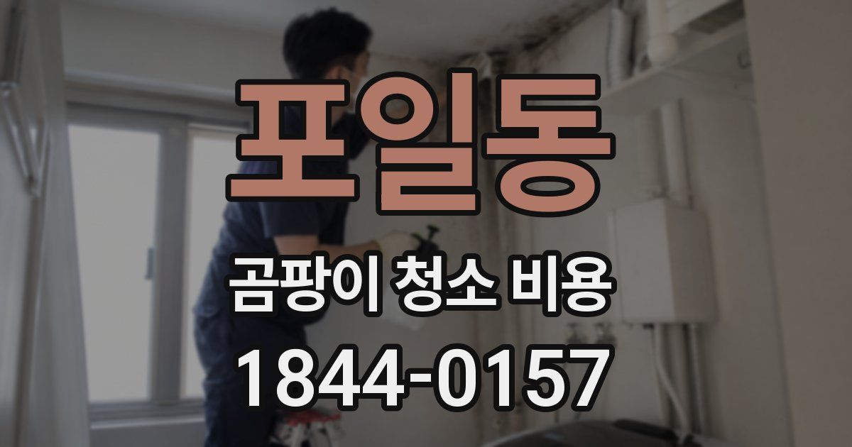 포일동 곰팡이 청소 비용