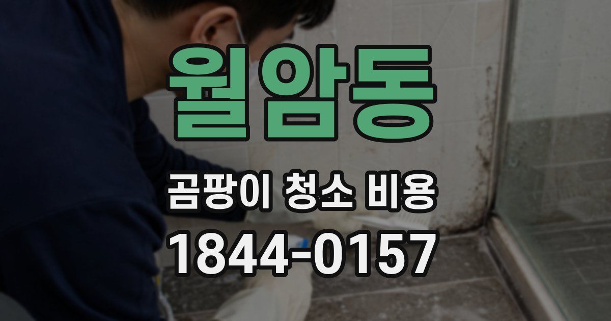 월암동 곰팡이 청소 비용