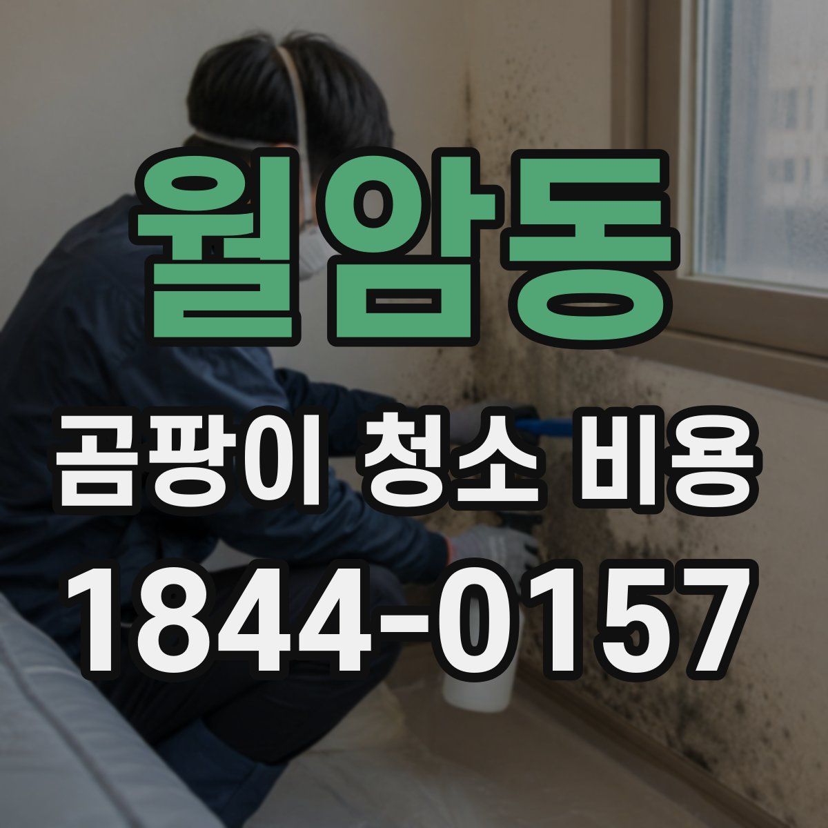 월암동 곰팡이 청소 비용